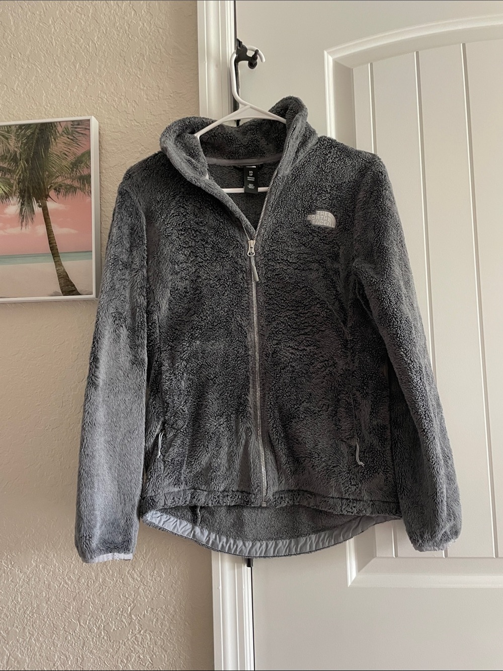 The North Face Women's Charcoal Plush Full-Zip Teddy Jacket